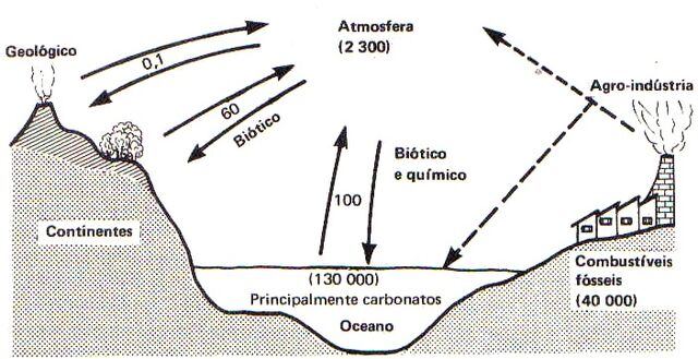 Arquivo:Ciclo do Carbono.jpg