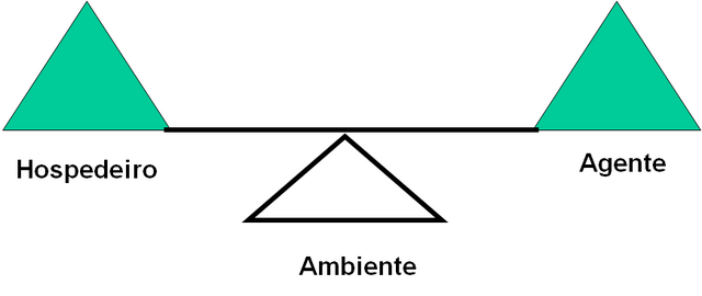 Arquivo:Modelo Tradicional Saúde - Doença.png