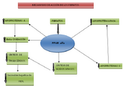 Diagrama Fibratos