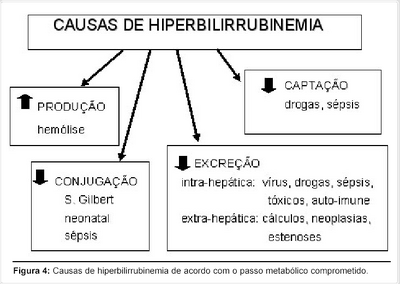 Causas.png
