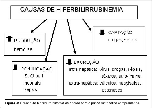 Arquivo:Causas.png