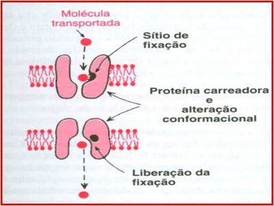 Difusao.jpg