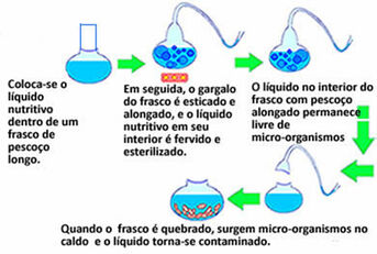 Pasteur.jpg