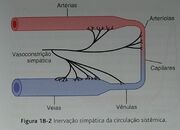 Guyton 2.jpg