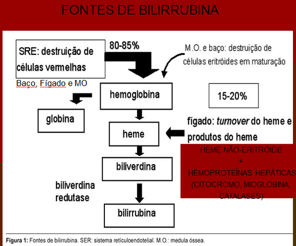 Arquivo:Fonte bilirrubina.png