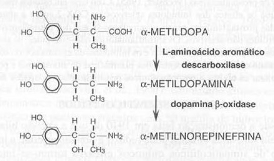 Arquivo:Metildopa.jpg