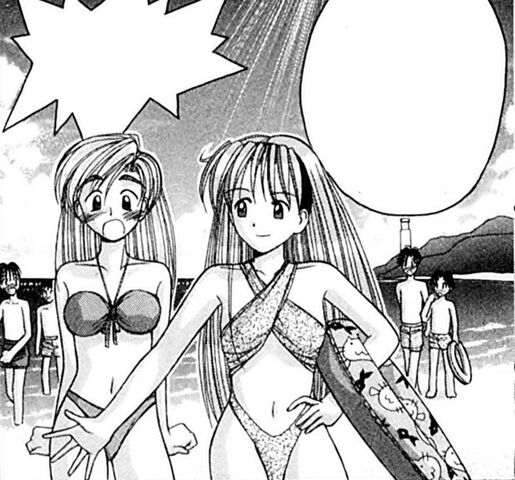 File:Swimsuit5.jpg