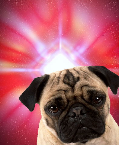 File:Martin.png