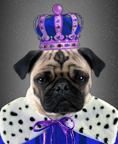 File:Brian.png