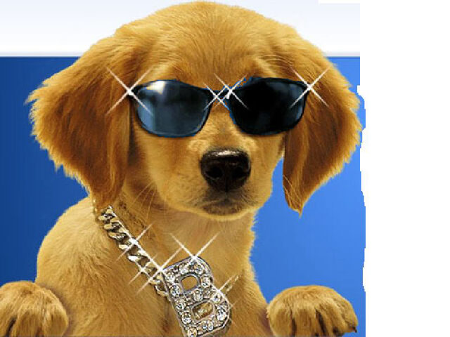 File:C-paw.jpg