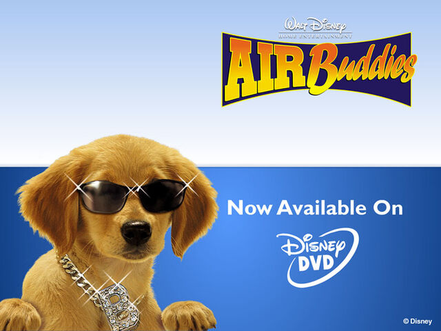 File:Bdawg 800.jpg
