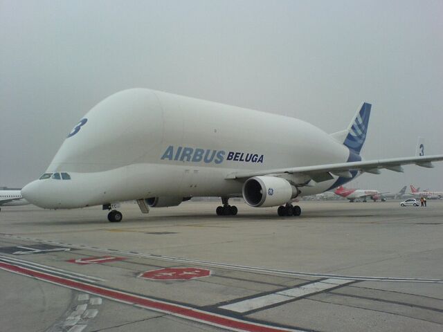 File:10362532.jpg