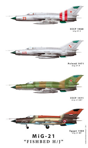 File:Mig21fishbedHfamilyweb.jpg