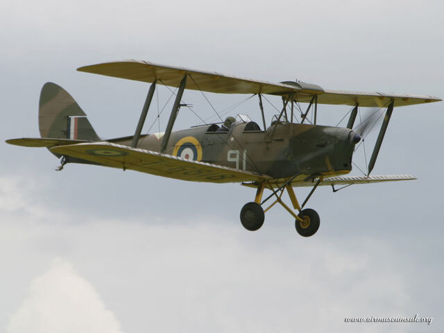 File:Tiger moth.jpg
