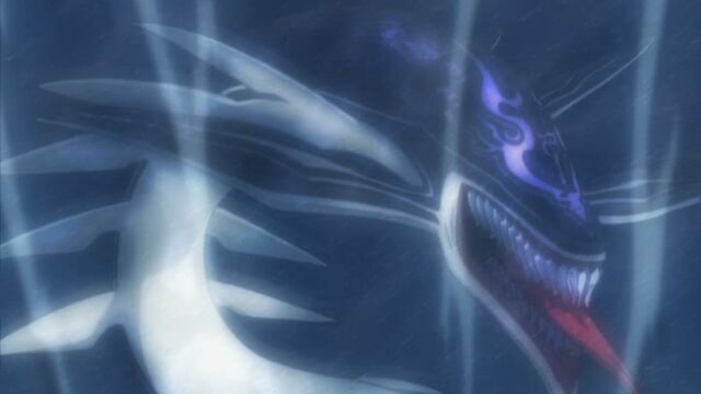 File:Orca's shadow.jpg