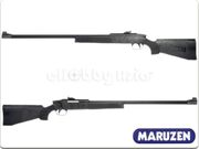 Maruzen aps2