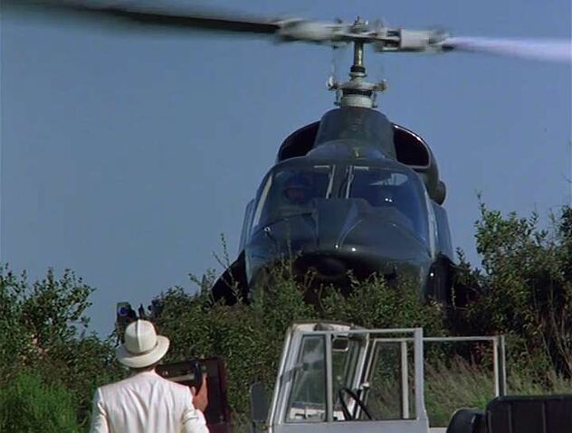 File:Flight like a dove.jpg