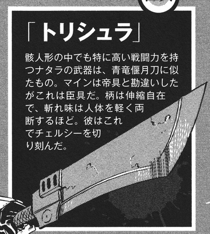 Datei:Trisula guidebook.png