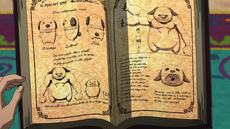 Libro de Teigus Koro.png