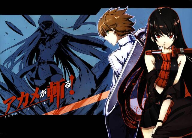 Datei:Akame-ga-kill-Manga.jpg