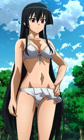 File:Akame Swim Suit.jpg