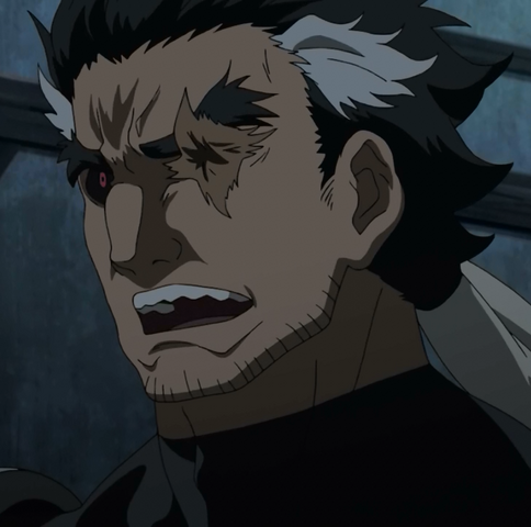 File:Ogre anime.png