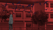 Si0p.png