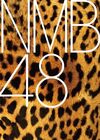 0208NMB48 logo