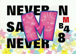 NMB48 Flag TeamM