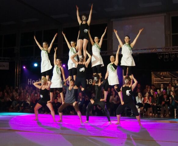 Datei:HSP-Show2013-MS.jpg