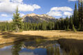 Thumbnail for version as of 12:49, May 30, 2010