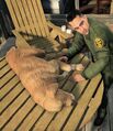 Thumbnail for version as of 07:22, May 31, 2012