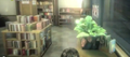 Thumbnail for version as of 16:28, July 9, 2011