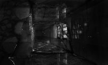 Alan Wake 2 concept