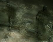 Invisibletaken