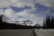 IceFieldsParkway