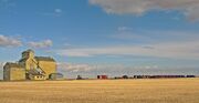 Grain elevator in Skiff Alberta