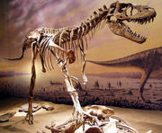Drumheller 150Alberto