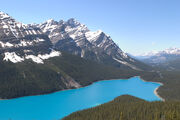 Peyto lake.jpg