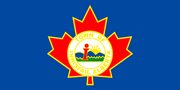 Innisfail flag