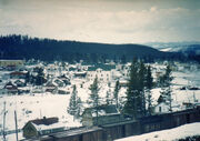Mercoallate1950's