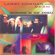 NormanLarry ShoutingInTheStorm-USA-CD-a-C