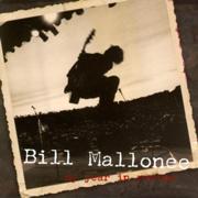 180px-Bill Mallonee - My Year in Review