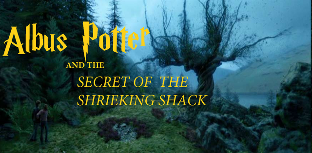 File:Sshack1.png