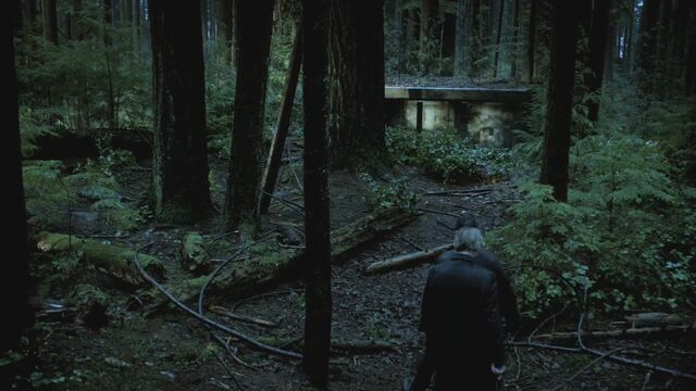 File:1x01 IntoTheWoods.jpg