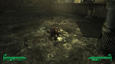 Nme radroach