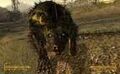 Thumbnail for version as of 14:41, May 11, 2013