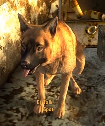 Spot