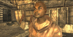 Themerchant