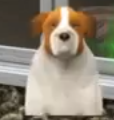 File:Pudge.png